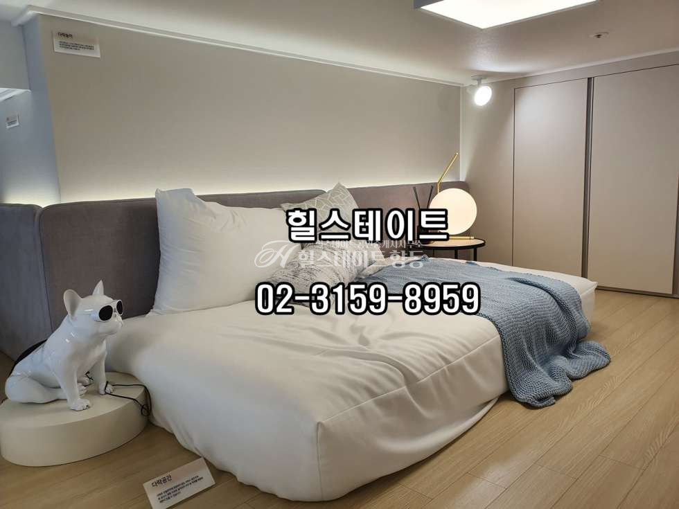 경기 고양덕양구 덕은동 복층형오피스텔, 전입신고가능,답답하지 않아요 전세 매물번호 10051 사진 11